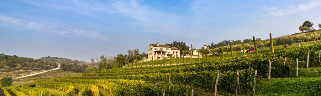 wines of Istria