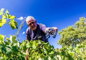 truffle hunting tour istria