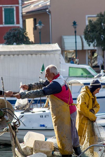 Fishermen of Rovinj