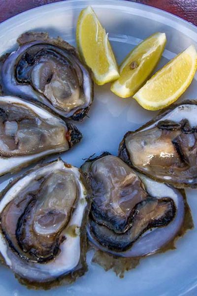 Tasting Oysters
