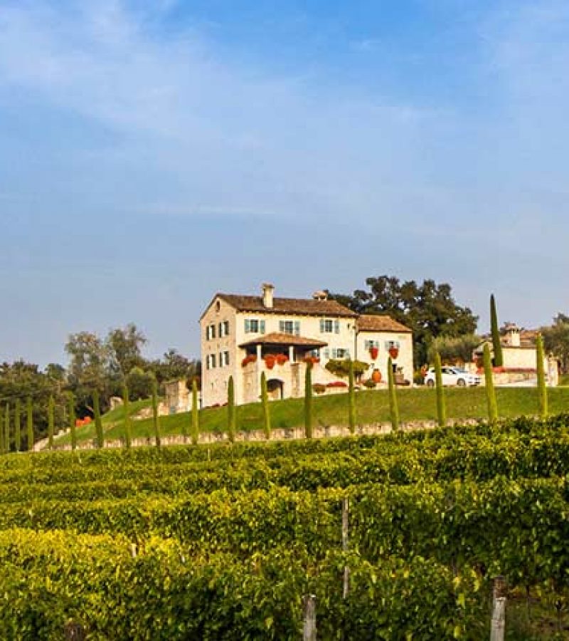 wines of Istria